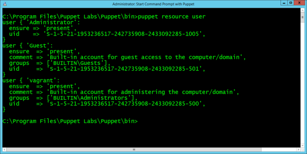 A terminal window showing user information, such as user groups and user ID, returned by the puppet resource user command.